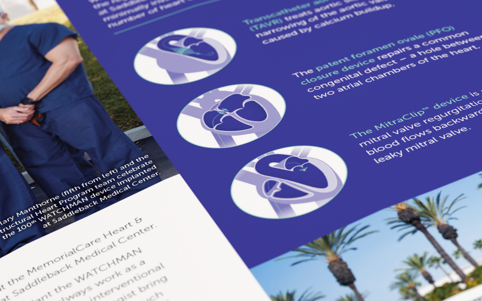 MemorialCare heart health custom illustration detail
